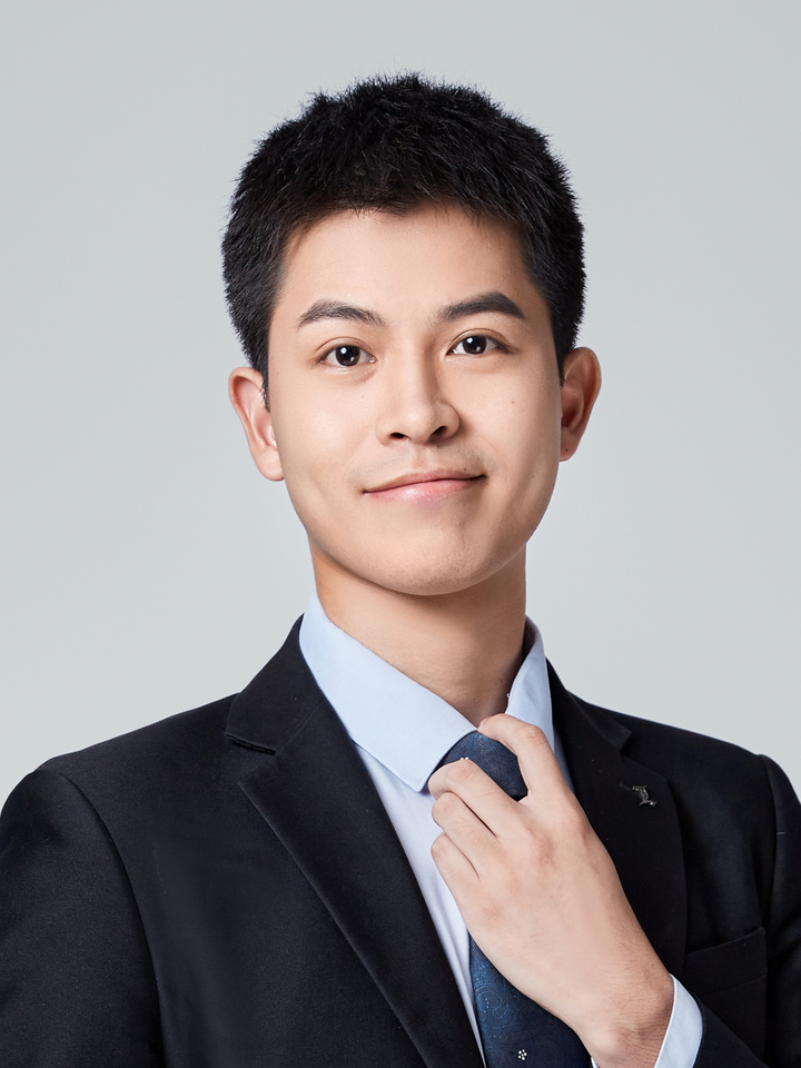 Portrait of Lawyer Li Hua Tao